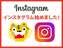 タダトラくん インスタグラム