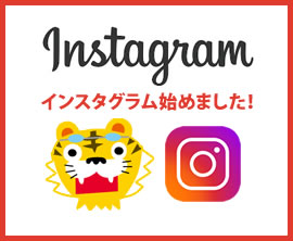 インスタグラム始めました!