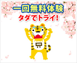 夏の短期教室開催